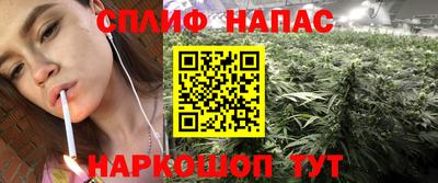 a pvp Будённовск