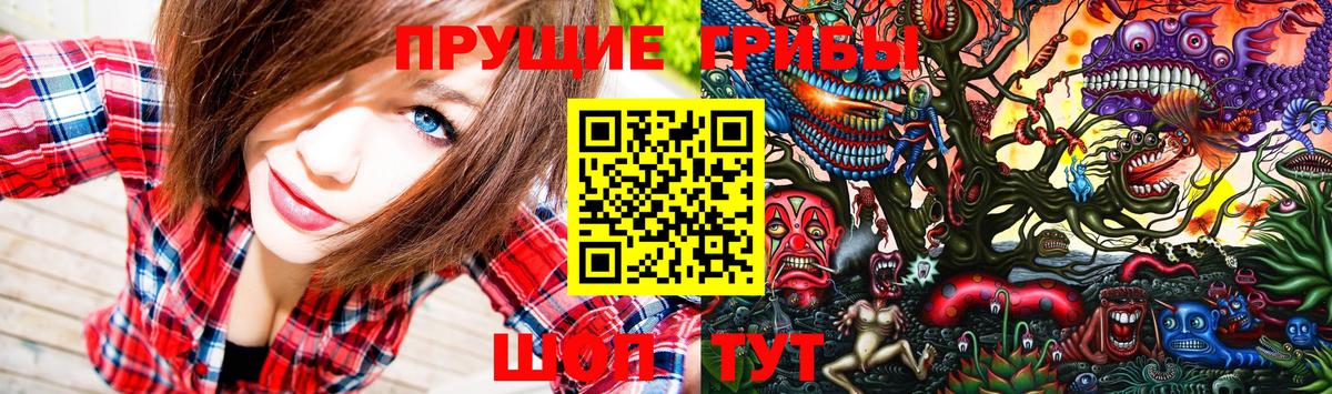 Галлюциногенные грибы Psilocybine cubensis  Псилоцибиновые грибы прущие грибы  Обнинск  Вход с VPN 